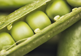Read more about the article מב”ס את מב”ז: הנסיכים המדליקים מהמפרץ